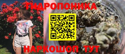 каннабис Тверь